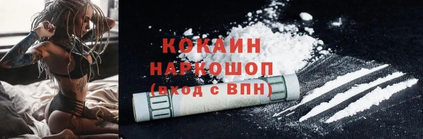 PSILOCYBIN Новозыбков