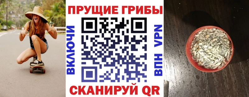 Галлюциногенные грибы прущие грибы  где продают   Канск 