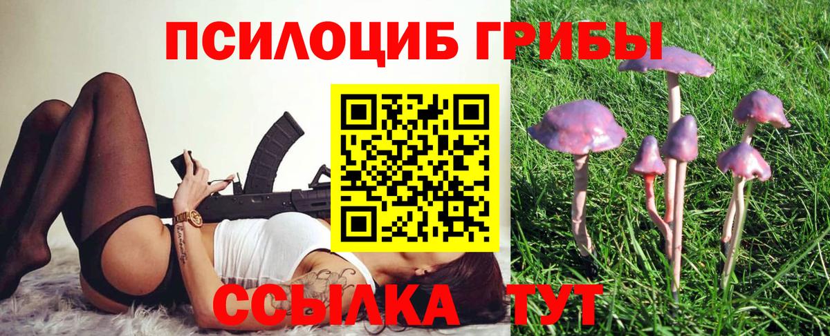 Галлюциногенные грибы MAGIC MUSHROOMS  Канск 