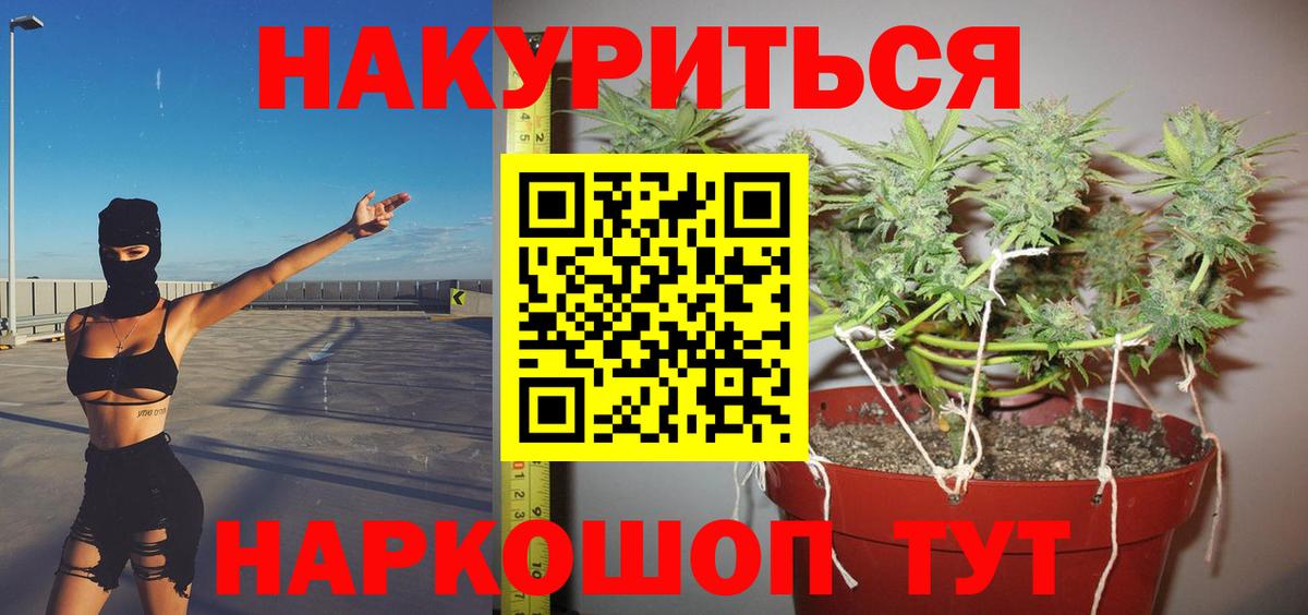 Бошки Шишки SATIVA & INDICA Канск